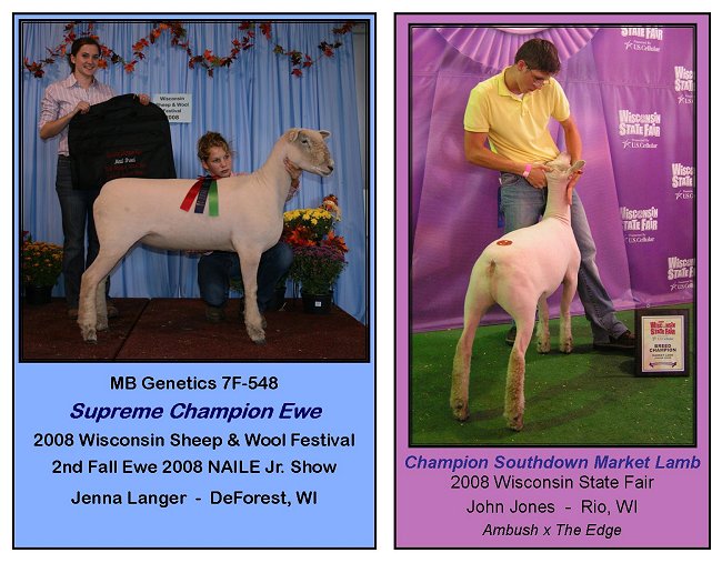 2008 WSF mkt lamb & WSWF supreme